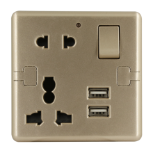 W12USBMSCN Metallic Gold ( 2 USB Charger & Multi Socket )